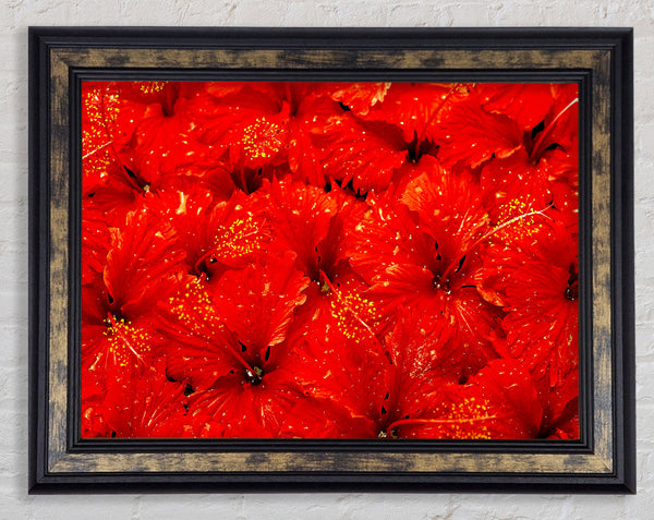 An Ocean Of Red Leaves Framed Print