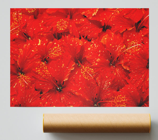 An Ocean Of Red Leaves Print