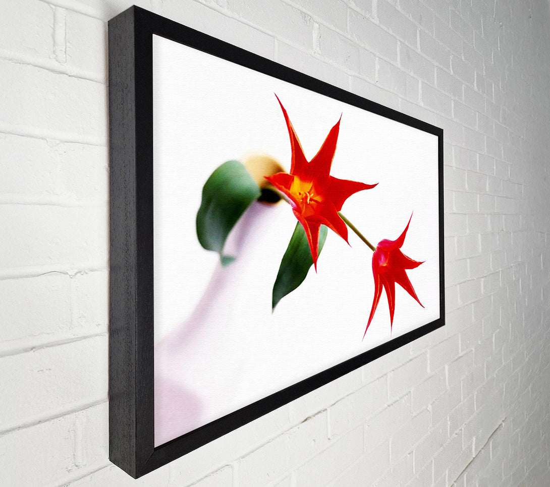  A Canvas Print of Twin Fire Tulip Centre Canvas Art
