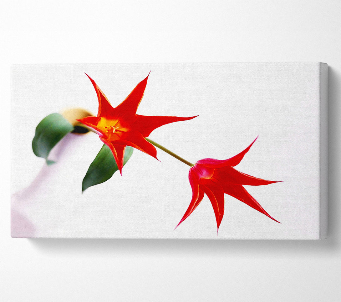  A Canvas Print of Twin Fire Tulip Centre Canvas Art