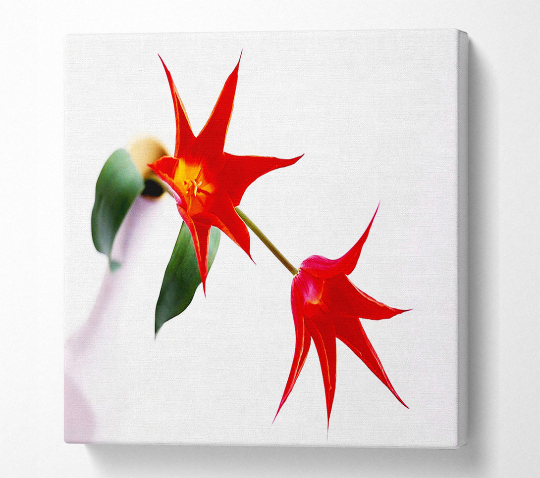  A Canvas Print of Twin Fire Tulip Centre Canvas Art