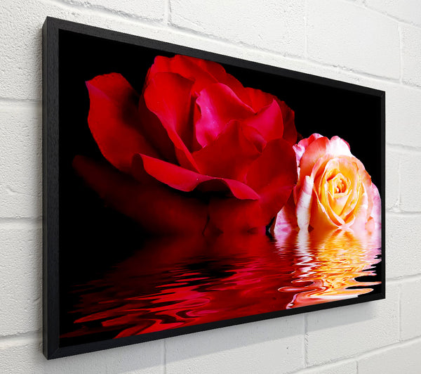 The Floating Roses