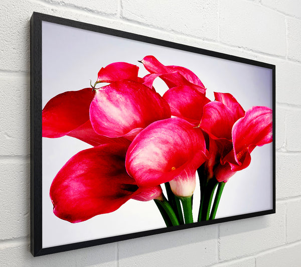 Pink Lily Bouquet
