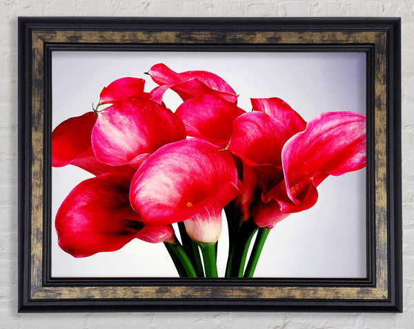 Pink Lily Bouquet Framed Print