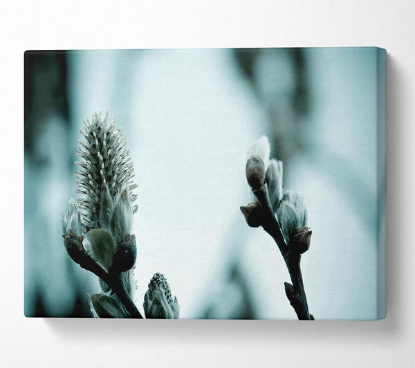  A Canvas Print of Winter Snow Flowers Canvas Art