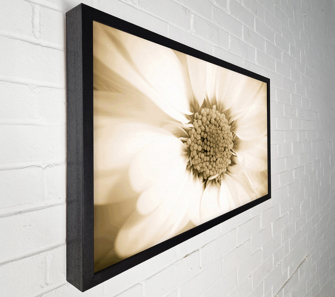  A Canvas Print of White Petal Heaven Canvas Art