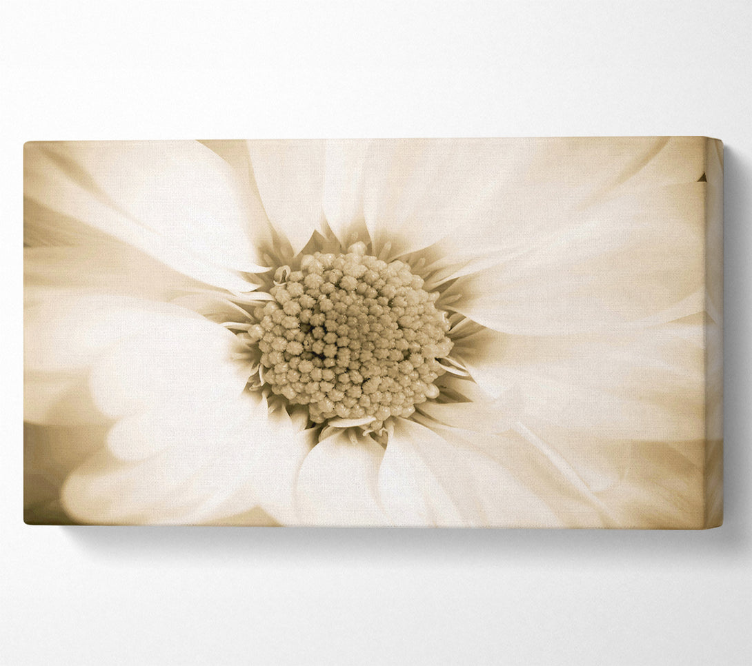  A Canvas Print of White Petal Heaven Canvas Art