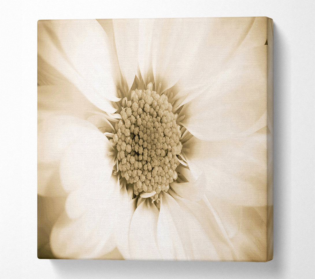  A Canvas Print of White Petal Heaven Canvas Art