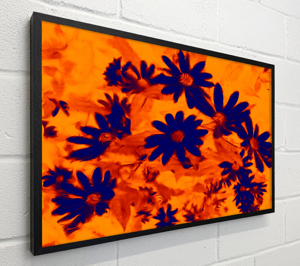 Purple On Orange Flowers