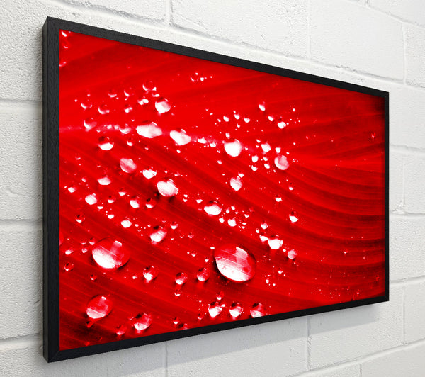 Red Water Droplets