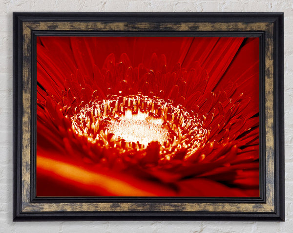 Red Centre Framed Print