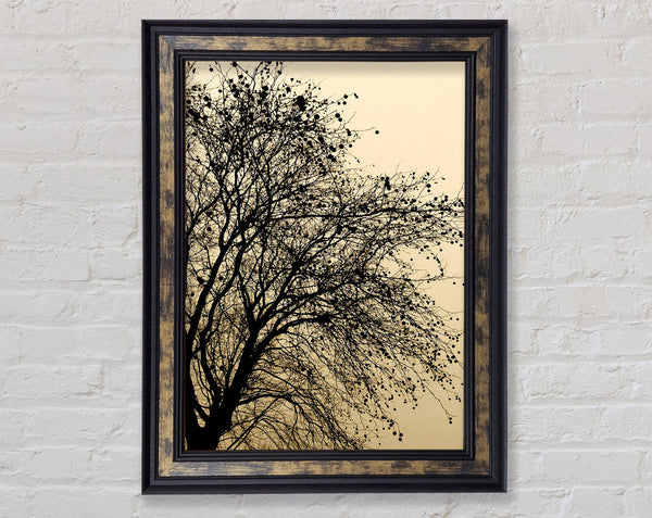 Chocolate Tree Framed Print
