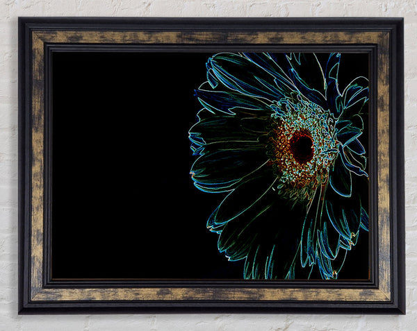 Night Flower Framed Print