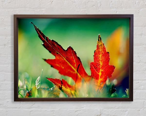 Herbstblatt