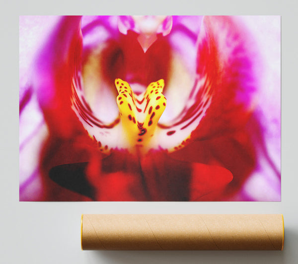 The Eye Of The Flower Print