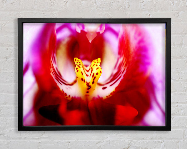 Das Auge der Blume