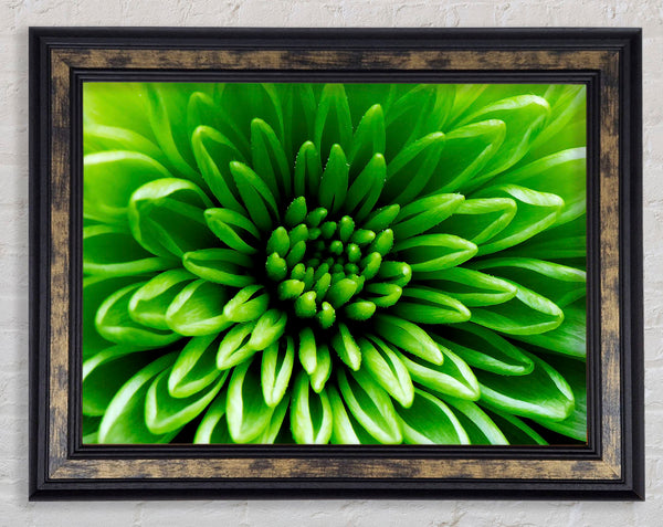 Green Centre Framed Print