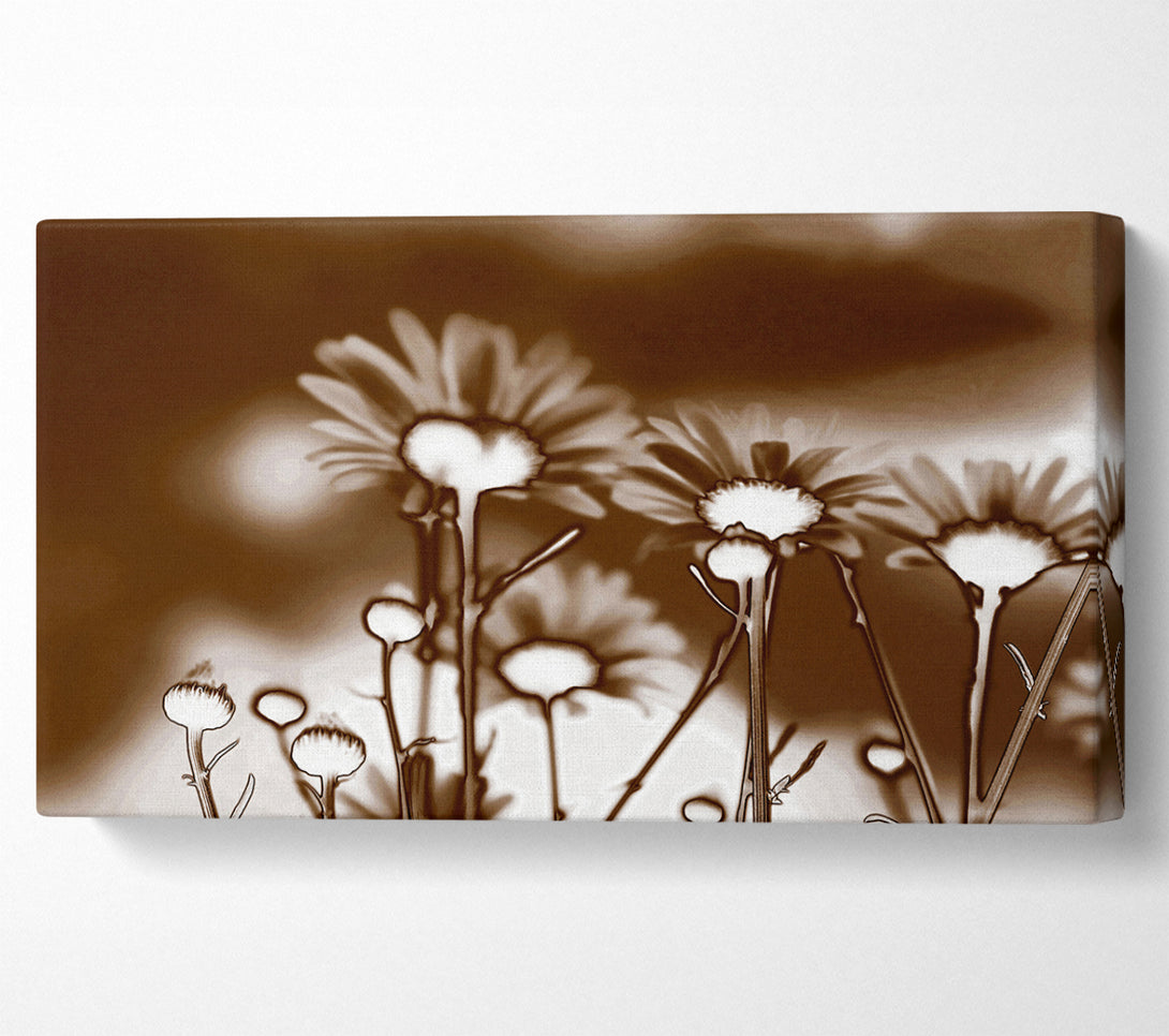  A Canvas Print of X-Ray Daisys Brown Canvas Wall Art