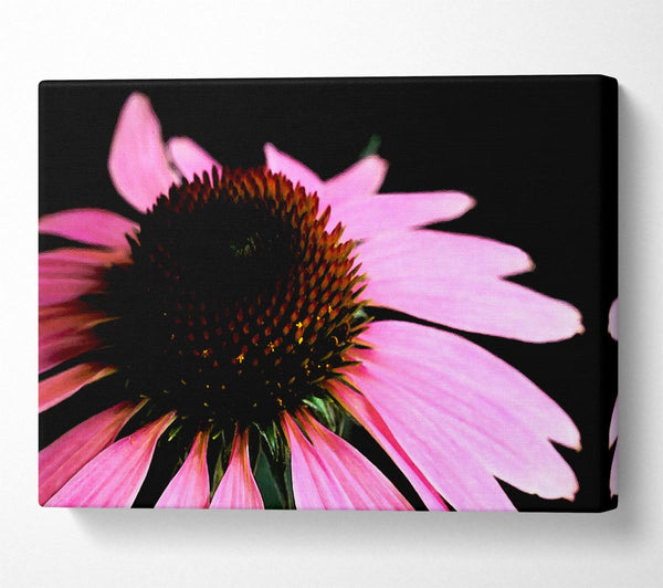  A Canvas Print of Pom Pom Daisy Centre Canvas Print