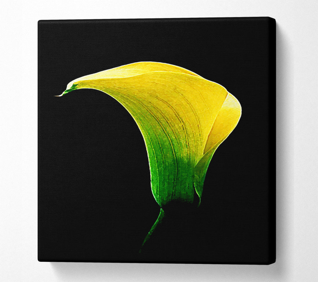  A Canvas Print of Stunning Night Lily Canvas Wall Art