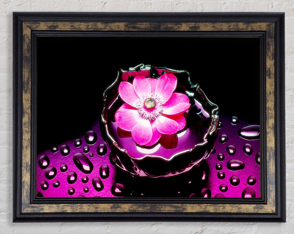 Pink Flower Splash Framed Print