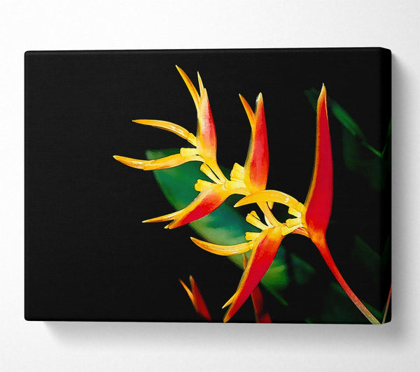  A Canvas Print of Bird Of Paradise In Sunlight Canvas Wall Art