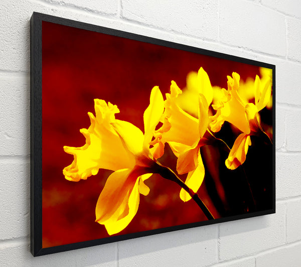 Golden Daffodil Parade
