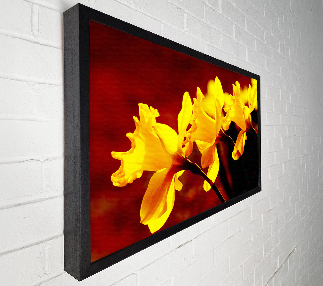  A Canvas Print of Golden Daffodil Parade Canvas Wall Art