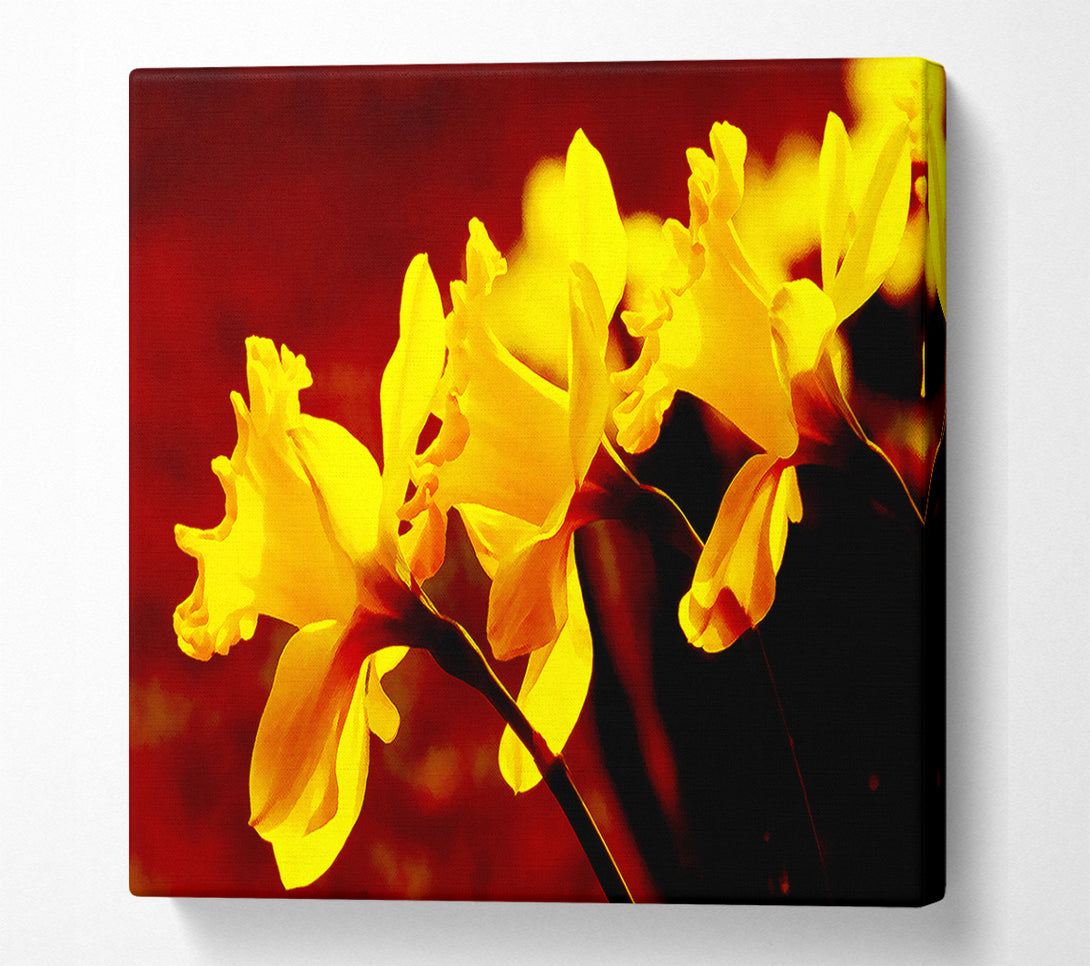  A Canvas Print of Golden Daffodil Parade Canvas Wall Art