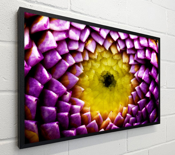 Purple Petal Delight