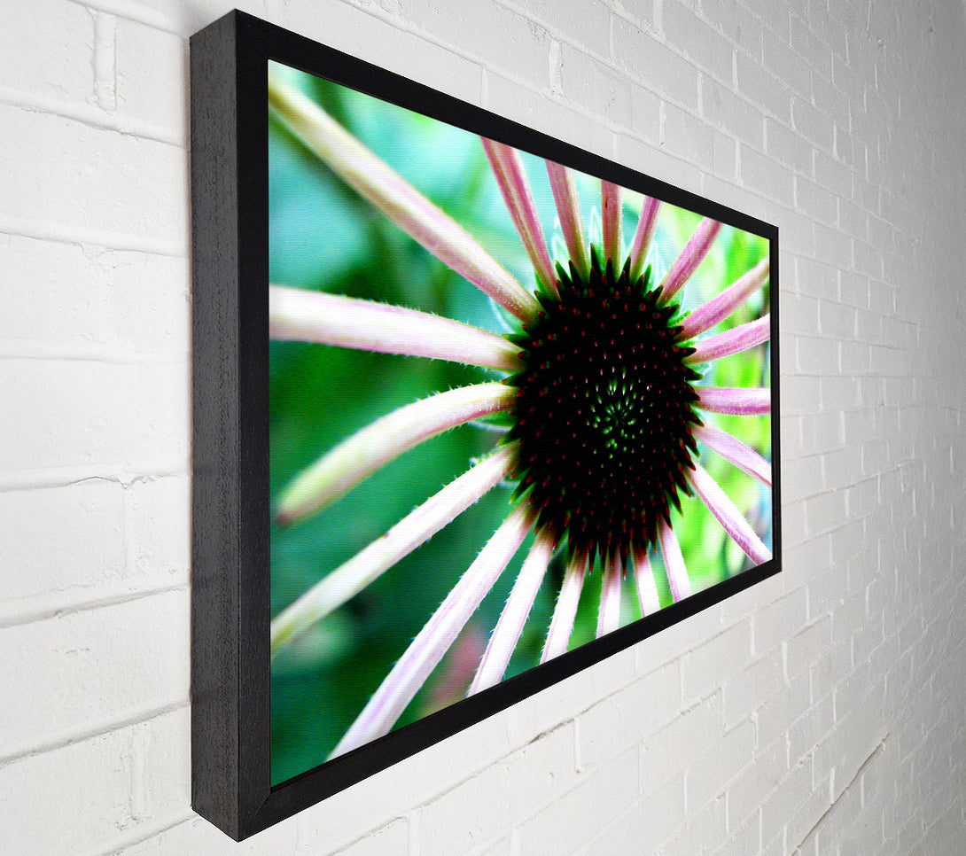  A Canvas Print of Magical Centre Canvas Print
