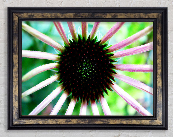Magical Centre Framed Print