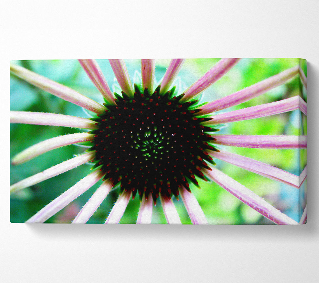  A Canvas Print of Magical Centre Canvas Print