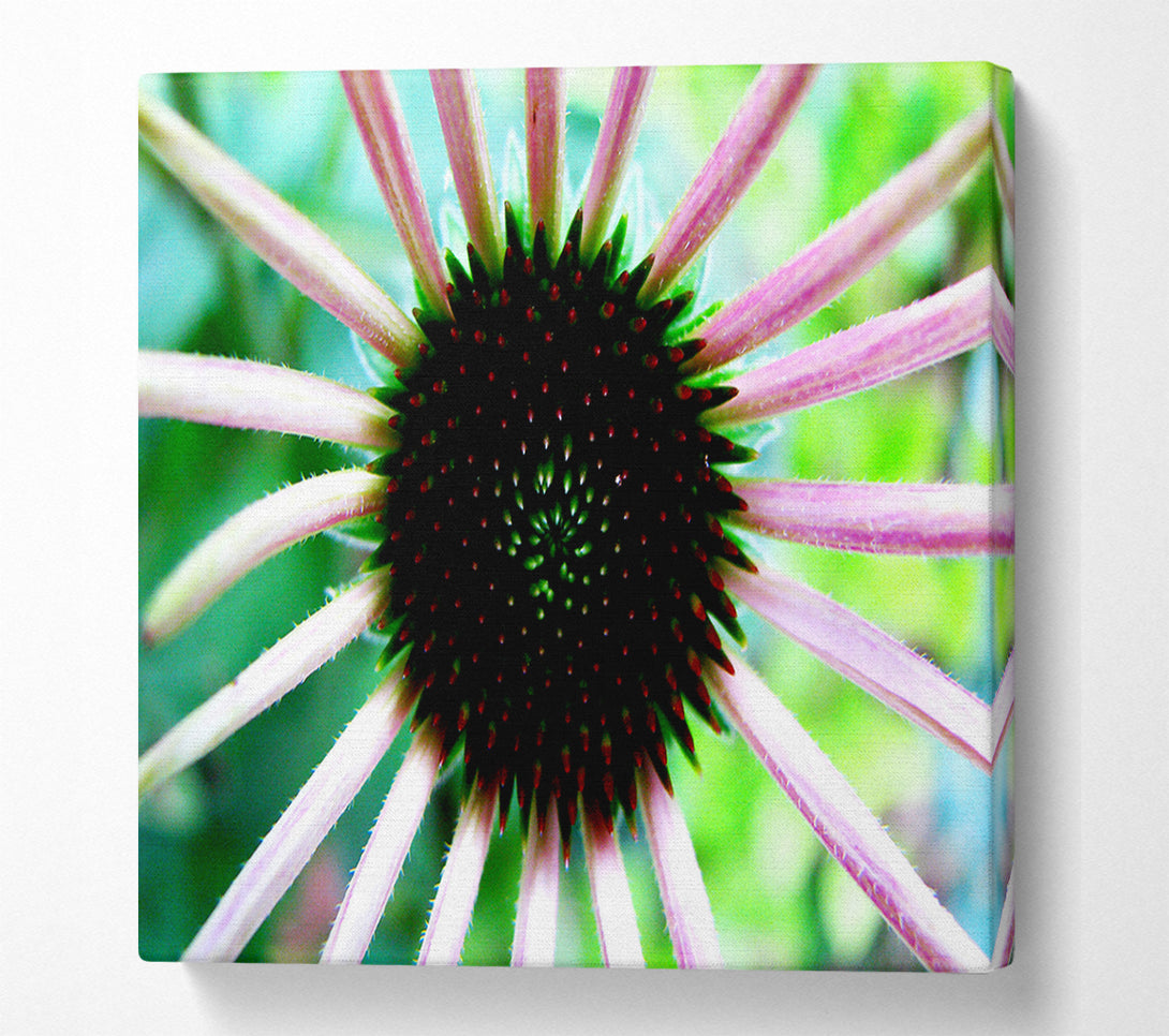  A Canvas Print of Magical Centre Canvas Print