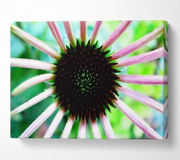  A Canvas Print of Magical Centre Canvas Print