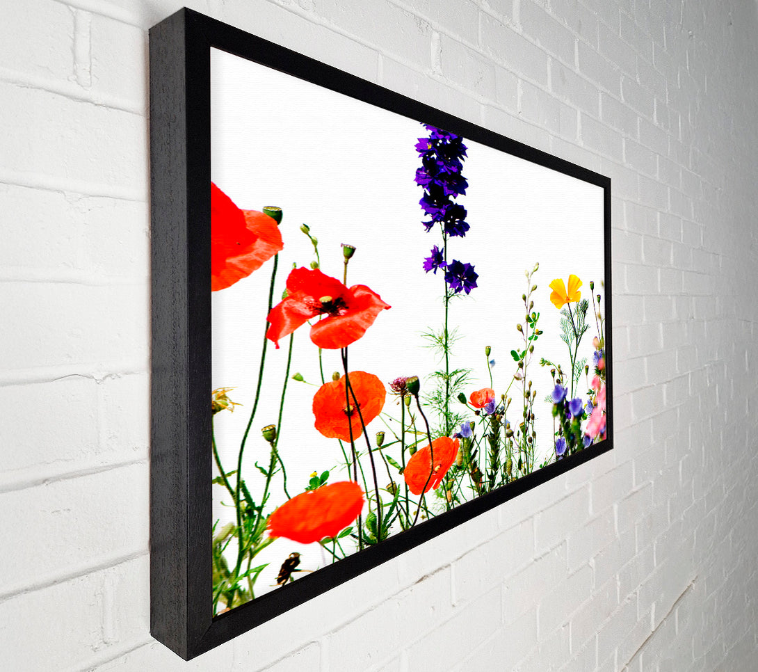  A Canvas Print of Wild Flower Garden In Bloom Canvas Print