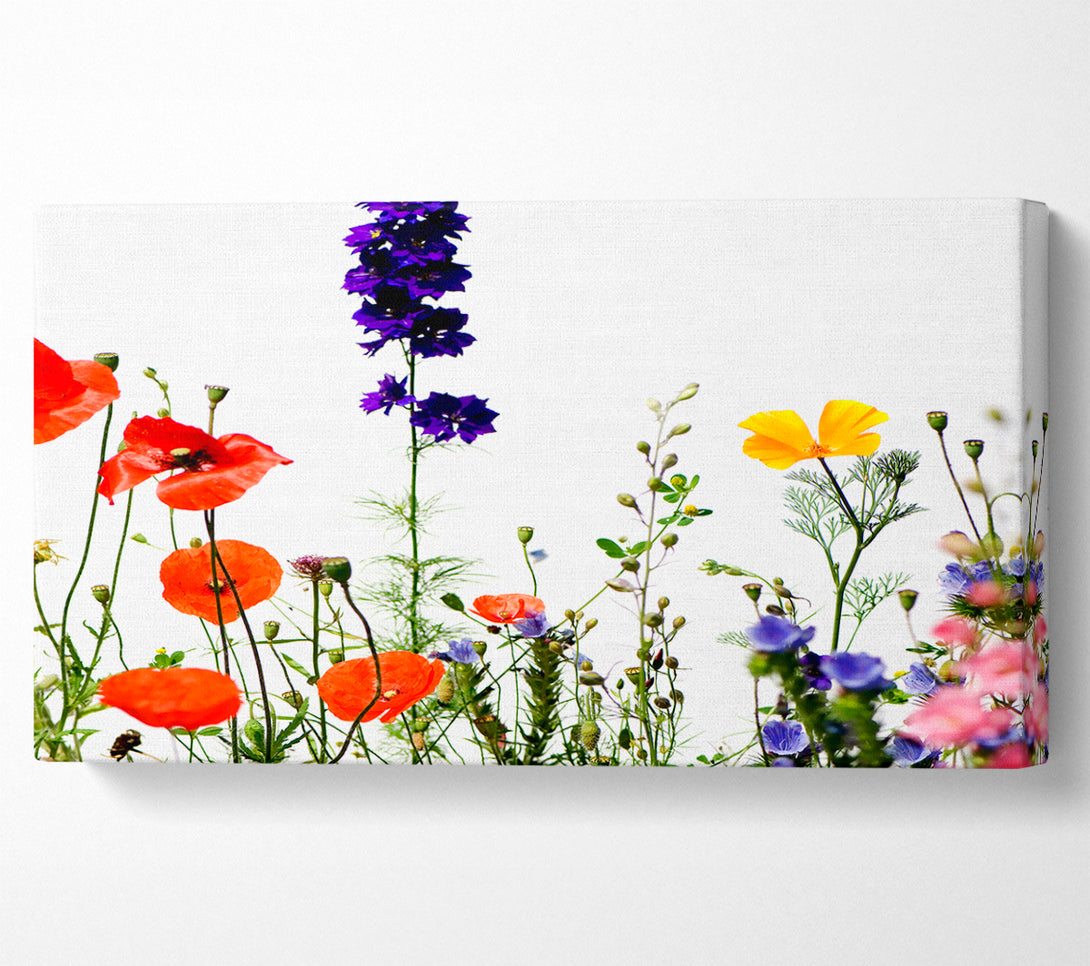  A Canvas Print of Wild Flower Garden In Bloom Canvas Print