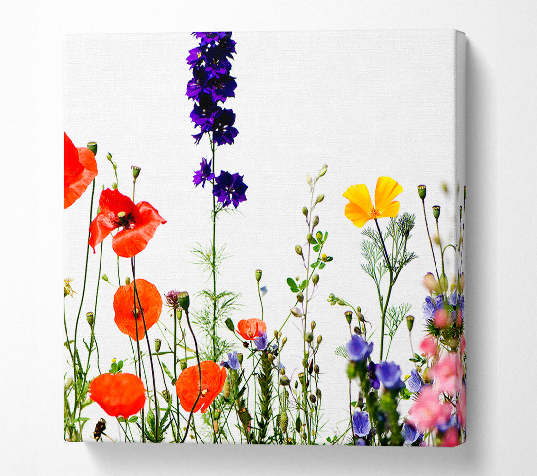  A Canvas Print of Wild Flower Garden In Bloom Canvas Print