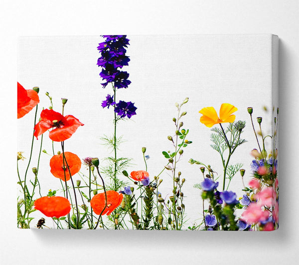  A Canvas Print of Wild Flower Garden In Bloom Canvas Print