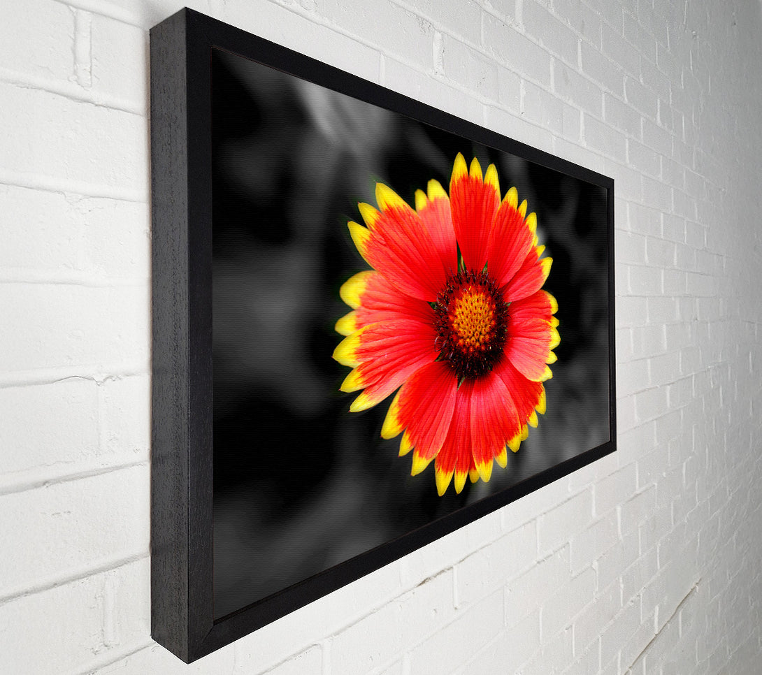  A Canvas Print of Colours Of The Sun Canvas Wall Art