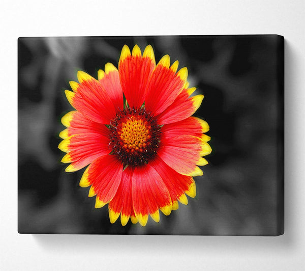  A Canvas Print of Colours Of The Sun Canvas Wall Art