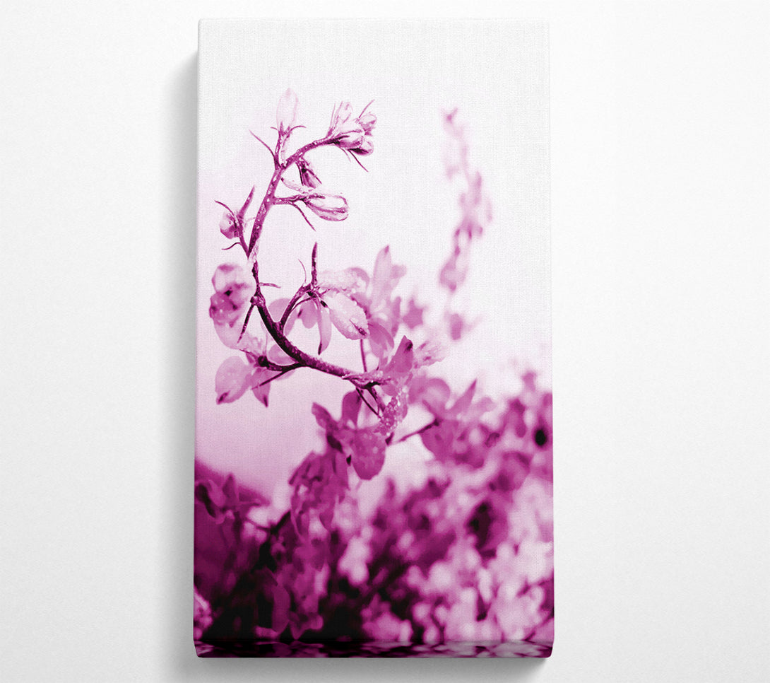  A Canvas Print of Cherry Blossom Canvas Wall Art