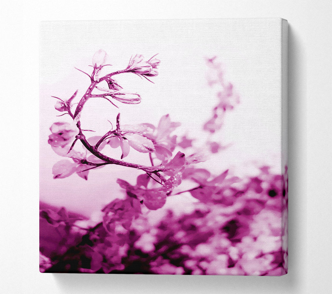  A Canvas Print of Cherry Blossom Canvas Wall Art