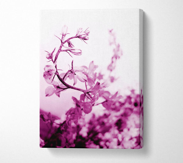  A Canvas Print of Cherry Blossom Canvas Wall Art