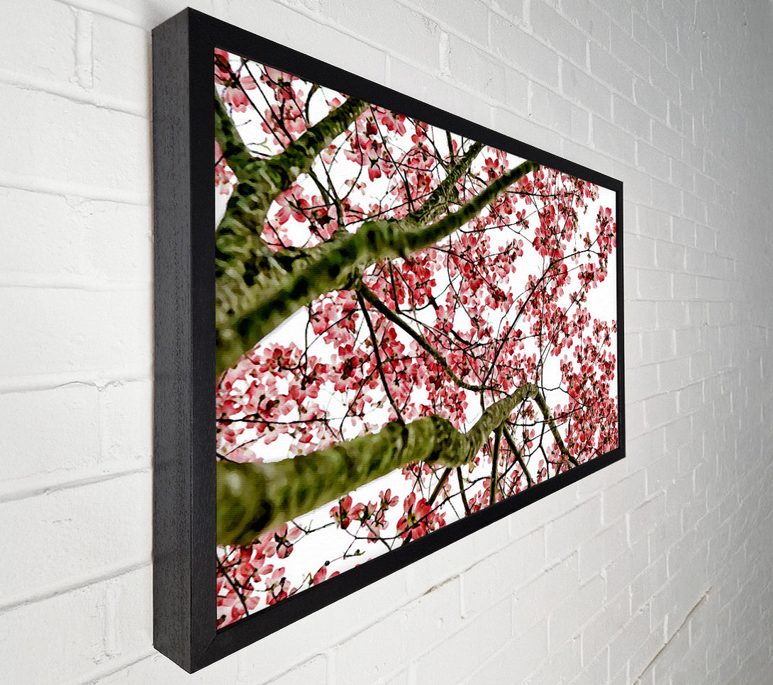  A Canvas Print of The Cherry Blossom Tree Canvas Art