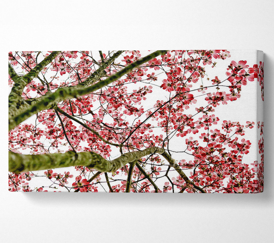  A Canvas Print of The Cherry Blossom Tree Canvas Art