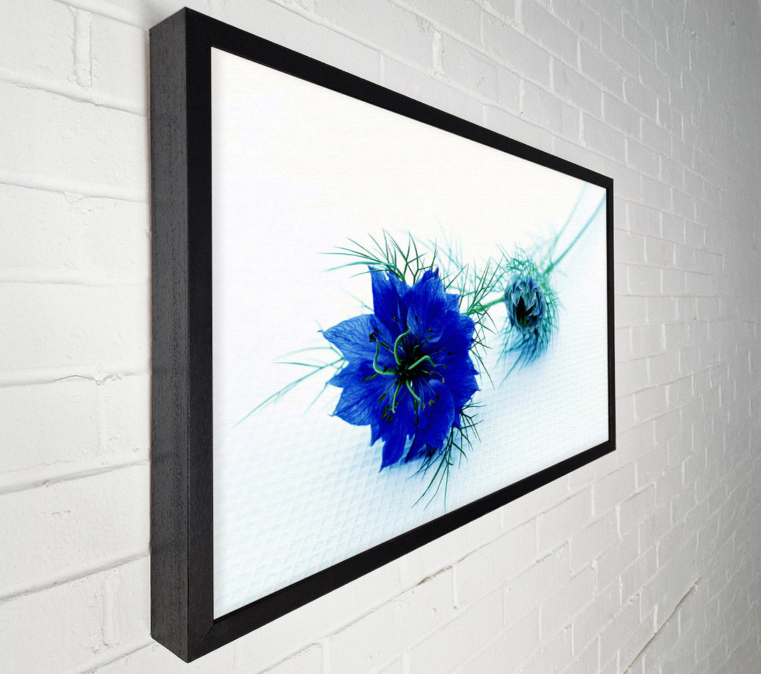  A Canvas Print of Blue Passion Canvas Wall Art