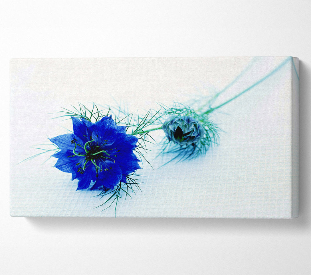  A Canvas Print of Blue Passion Canvas Wall Art