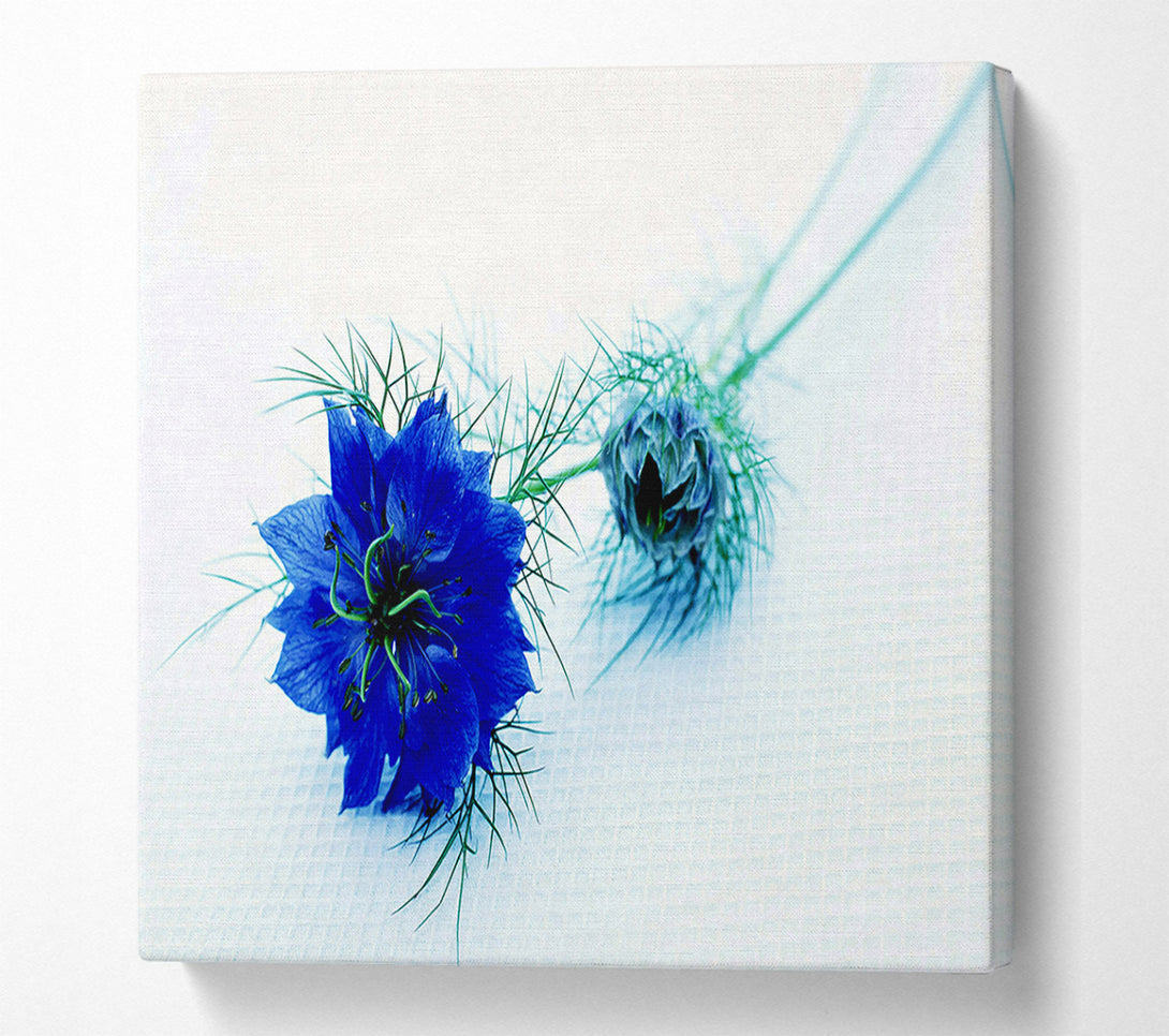  A Canvas Print of Blue Passion Canvas Wall Art