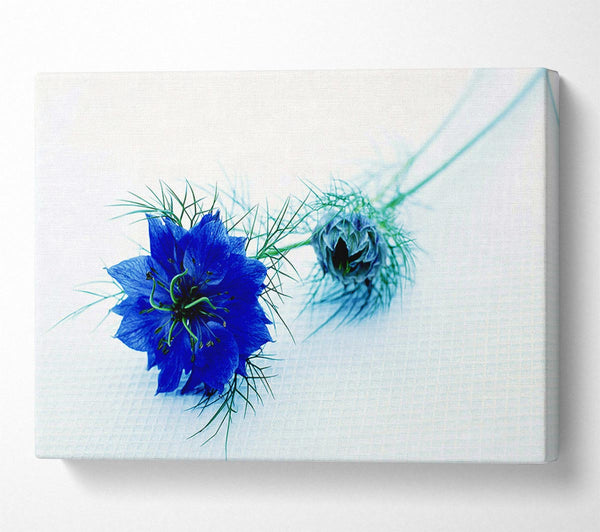  A Canvas Print of Blue Passion Canvas Wall Art